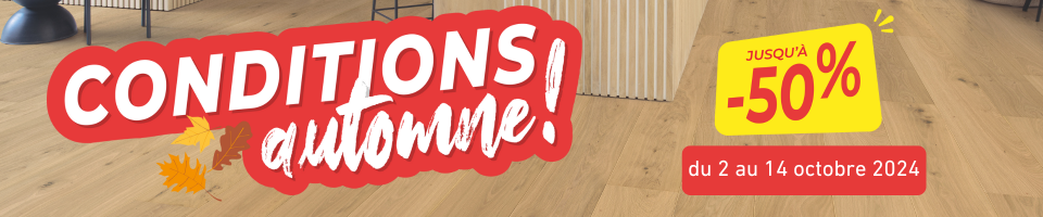 Conditions automne 2024